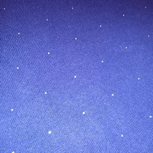 Carolyn Taylor Deep Purple Crew Neck Sweater - Picture 3 of 3